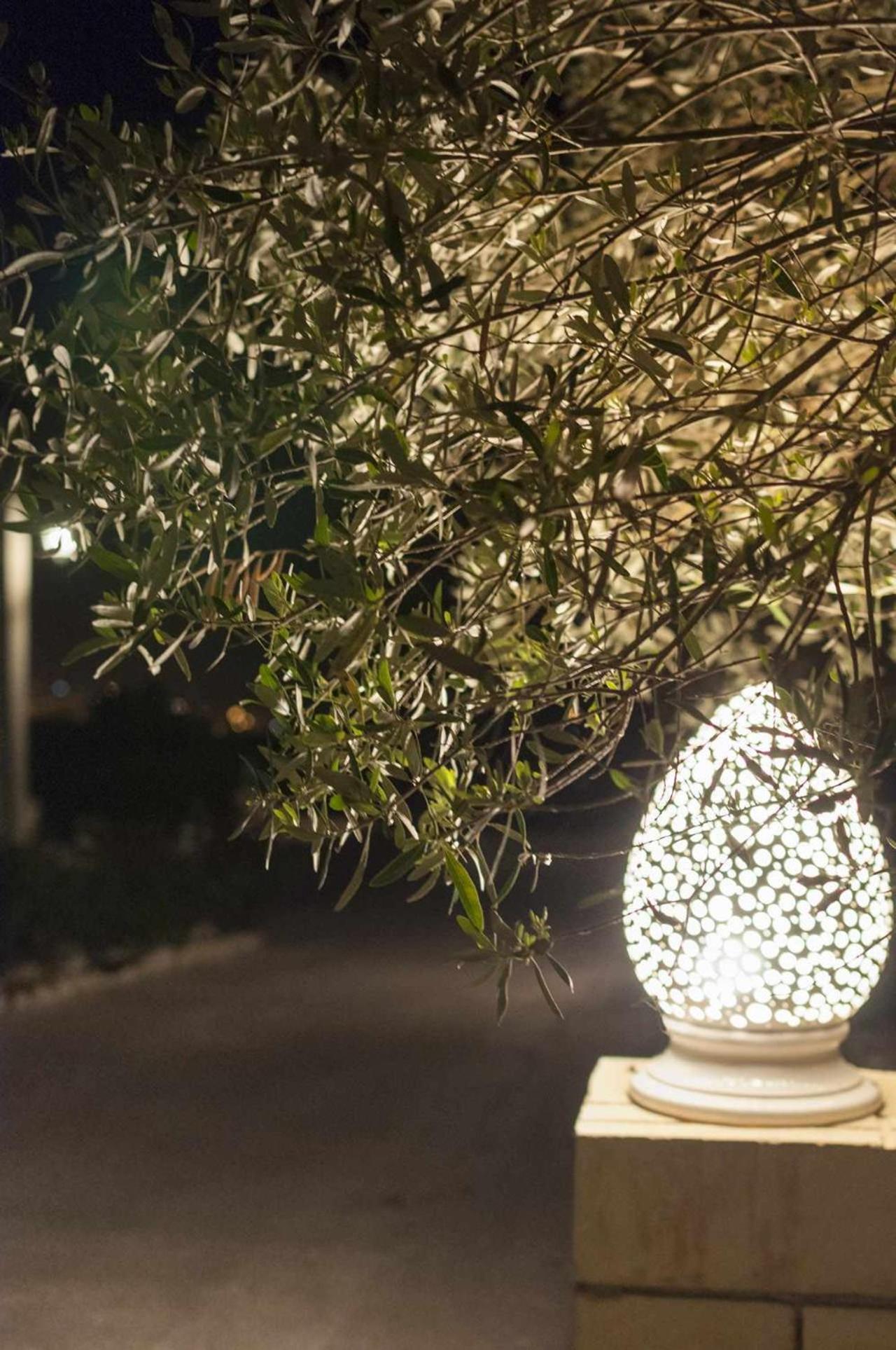 Tenuta Olive Alive Noto Esterno foto