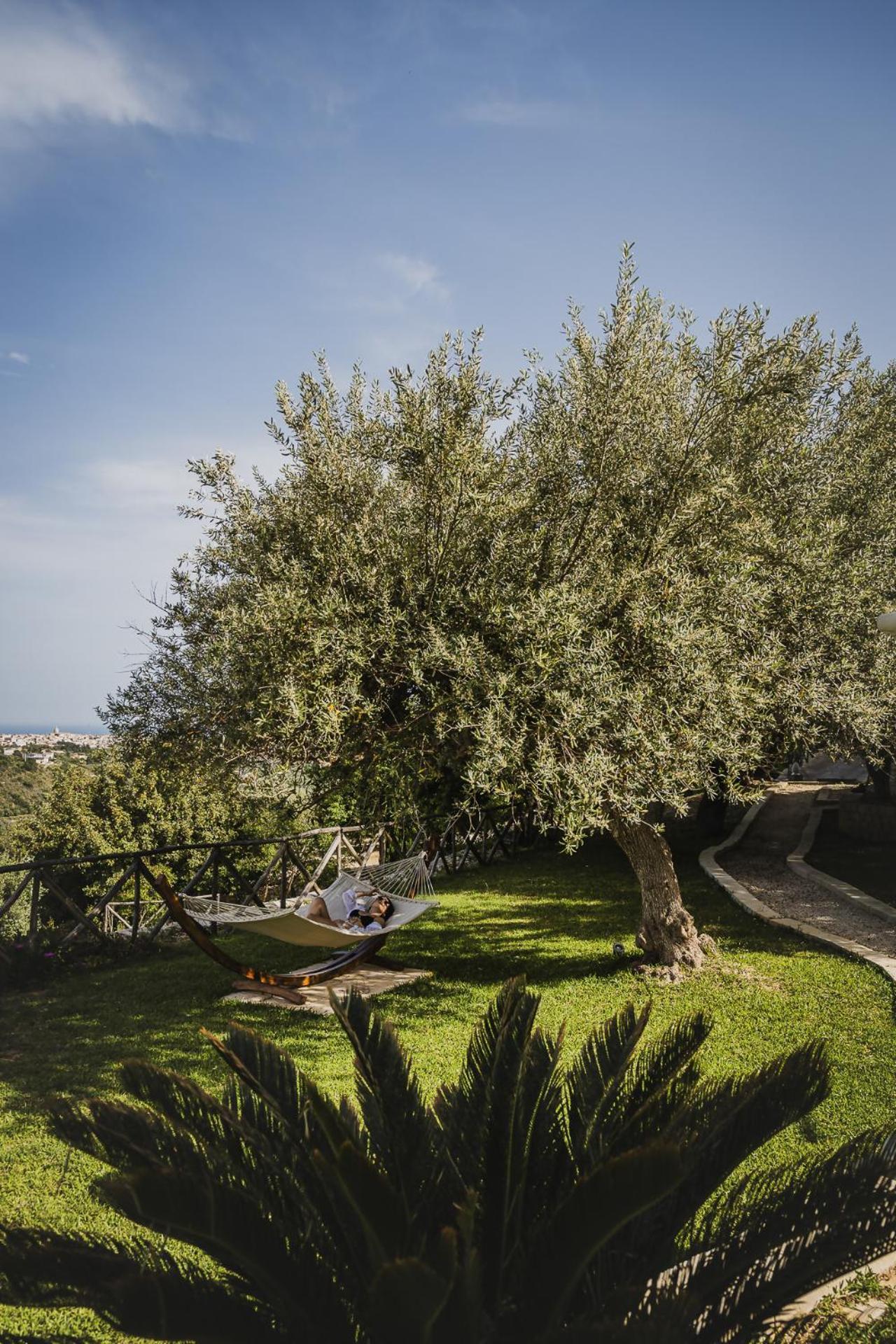 Tenuta Olive Alive Noto Esterno foto